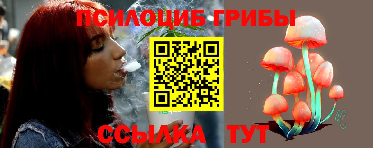 Верхний Уфалей  Галлюциногенные грибы прущие грибы  Вход с VPN 